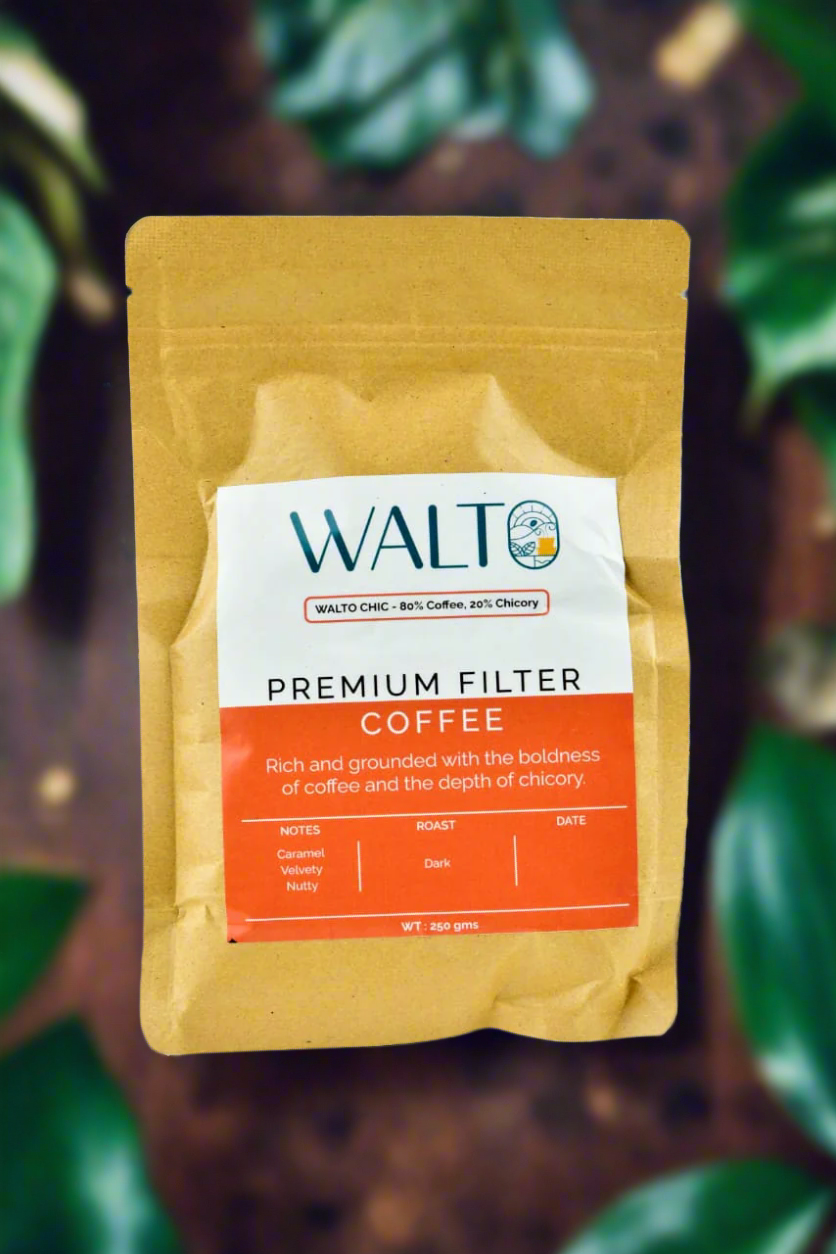 Walto premium filter coffee package on a white background