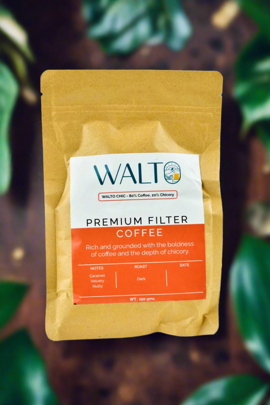 Walto premium filter coffee package on a white background